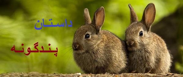 #خرگوش_جوان_و_پیر #تجربه_و_شجاعت #نصایح_حکیمانه #تعامل_با_گذشته #یادگیری_از_تجربیات #پندآموز_از_جنگل #ترکیب_تجربه_و_نوآوری #پیروزی_با_هوش_و_حکمت